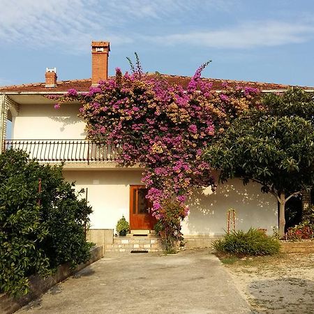 Apartman Dukic Appartement Trogir Buitenkant foto